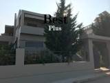 slide1 thumbnail