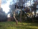 slide1 thumbnail