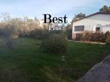 slide1 thumbnail