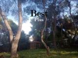 slide1 thumbnail