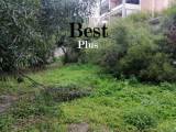 slide1 thumbnail