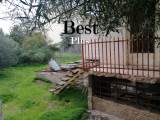slide1 thumbnail
