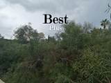 slide1 thumbnail