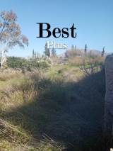slide1 thumbnail