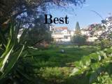 slide1 thumbnail