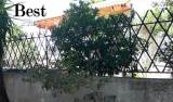 slide1 thumbnail