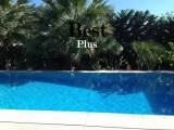 slide1 thumbnail