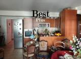 slide1 thumbnail