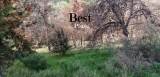slide1 thumbnail