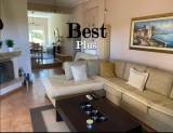 slide1 thumbnail