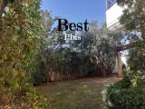 slide1 thumbnail