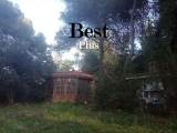 slide1 thumbnail