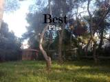 slide1 thumbnail