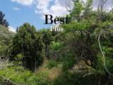slide1 thumbnail