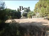 slide1 thumbnail
