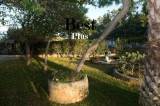 slide1 thumbnail