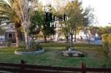 slide1 thumbnail