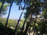 slide1 thumbnail