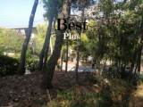 slide1 thumbnail