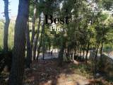 slide1 thumbnail