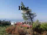 slide1 thumbnail
