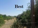slide1 thumbnail