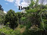 slide1 thumbnail
