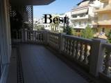 slide1 thumbnail