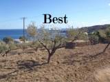slide1 thumbnail
