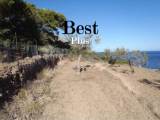 slide1 thumbnail
