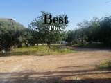 slide1 thumbnail