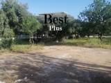 slide1 thumbnail