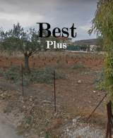 slide1 thumbnail