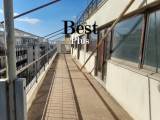 slide1 thumbnail