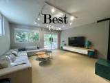 slide1 thumbnail