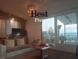 slide1 thumbnail