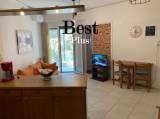 slide1 thumbnail
