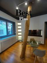 slide1 thumbnail