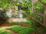 slide1 thumbnail