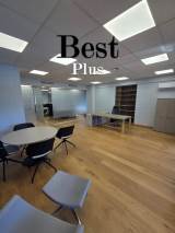 slide1 thumbnail