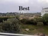 slide1 thumbnail