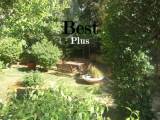 slide1 thumbnail