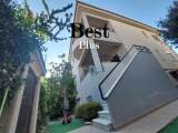 slide1 thumbnail