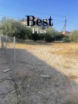slide1 thumbnail