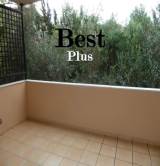 slide1 thumbnail