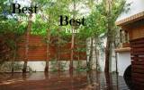 slide1 thumbnail
