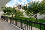 slide1 thumbnail