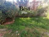 slide1 thumbnail