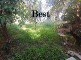 slide1 thumbnail