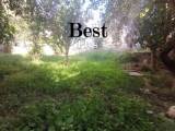 slide1 thumbnail